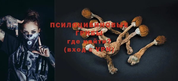 ешки Алзамай