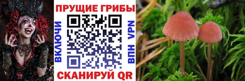 Псилоцибиновые грибы прущие грибы  Джанкой 