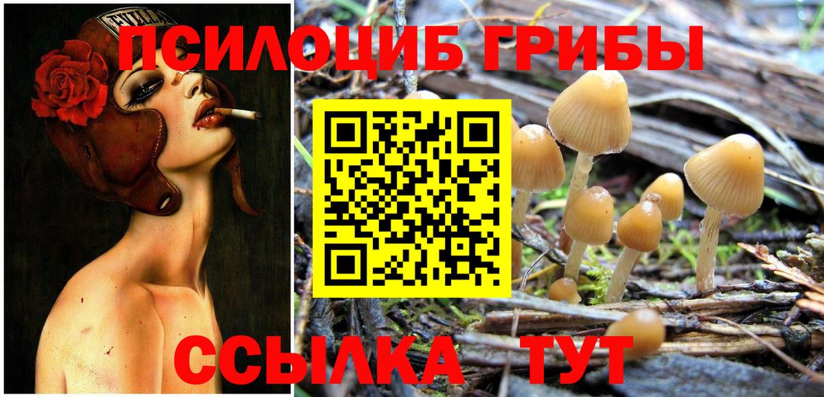 Галлюциногенные грибы Magic Shrooms Джанкой